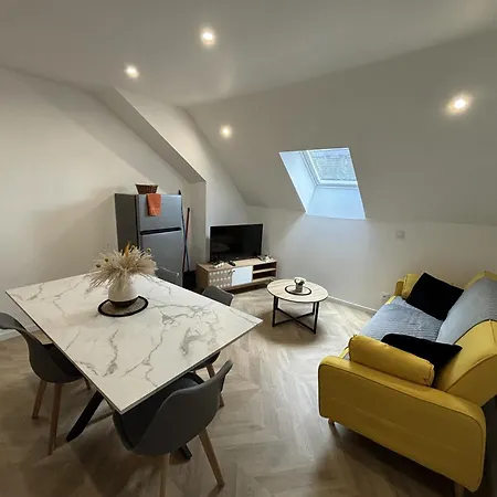 Le Pigeon Voyageur - 6p - Circuit - Reve Au Mans Apartmán